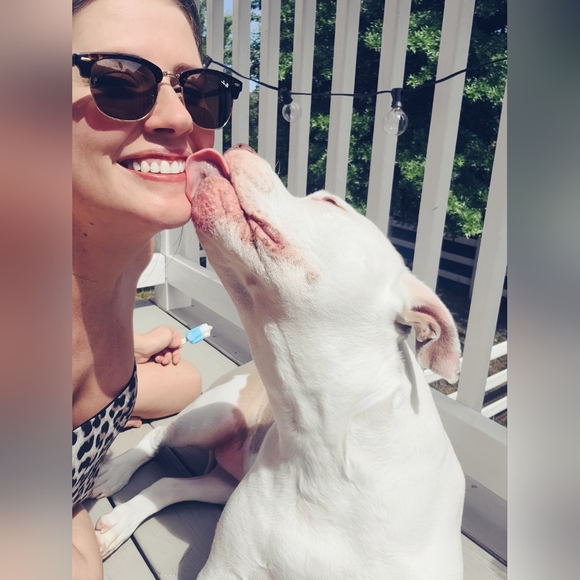 Proud Wife and Pibble/House Hippo/Pittopotamous Parent 💍 🐾 🖤 - Picture 3 of 4